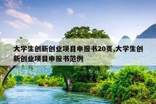 大学生创新创业项目申报书20页,大学生创新创业项目申报书范例