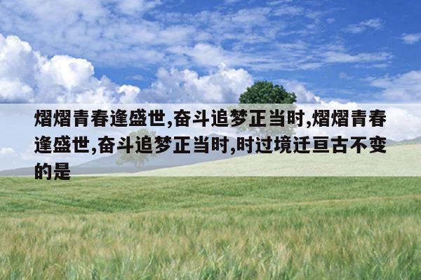 熠熠青春逢盛世,奋斗追梦正当时,熠熠青春逢盛世,奋斗追梦正当时,时过境迁亘古不变的是