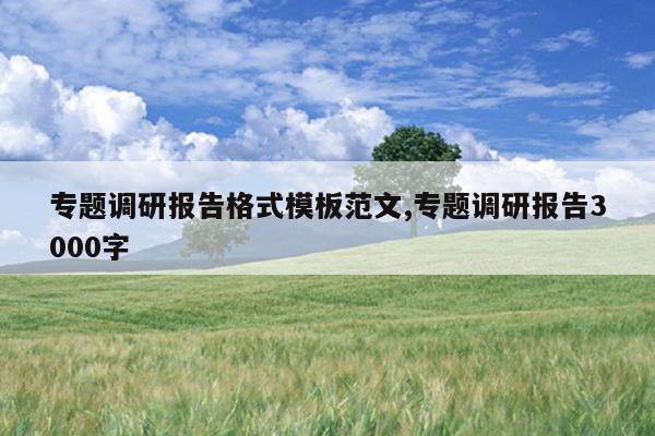 专题调研报告格式模板范文,专题调研报告3000字