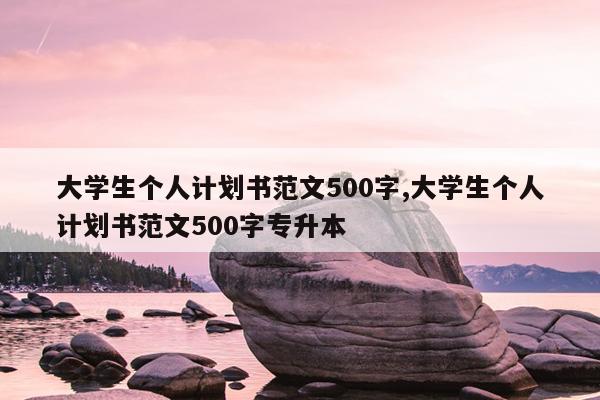 大学生个人计划书范文500字,大学生个人计划书范文500字专升本