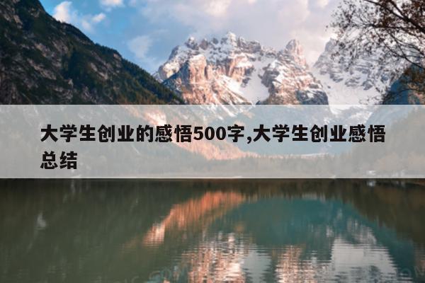 大学生创业的感悟500字,大学生创业感悟总结