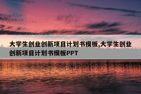 大学生创业创新项目计划书模板,大学生创业创新项目计划书模板PPT