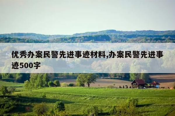 优秀办案民警先进事迹材料,办案民警先进事迹500字