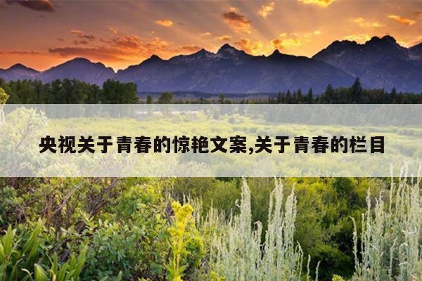 央视关于青春的惊艳文案,关于青春的栏目