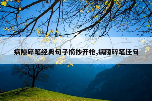 病隙碎笔经典句子摘抄开枪,病隙碎笔佳句