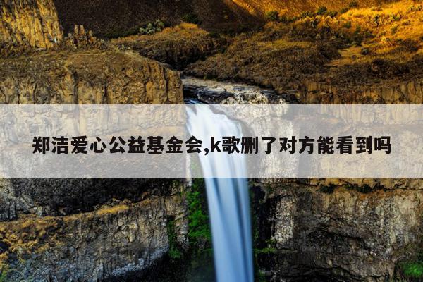 郑洁爱心公益基金会,k歌删了对方能看到吗