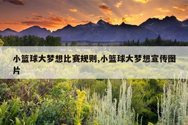 小篮球大梦想比赛规则,小篮球大梦想宣传图片