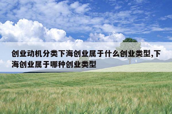 创业动机分类下海创业属于什么创业类型,下海创业属于哪种创业类型