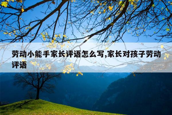 劳动小能手家长评语怎么写,家长对孩子劳动评语