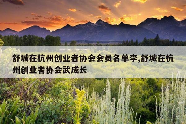 舒城在杭州创业者协会会员名单李,舒城在杭州创业者协会武成长