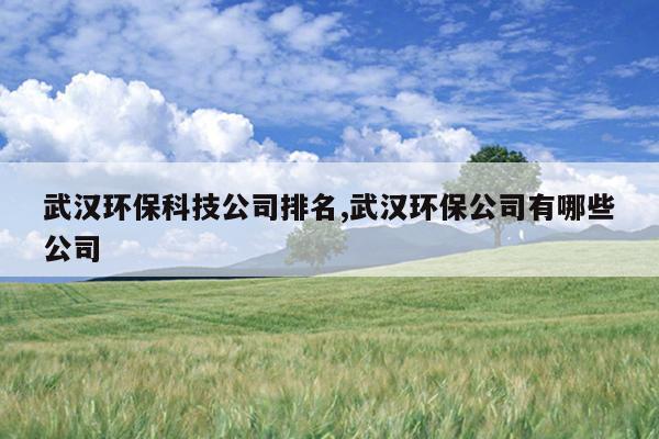 武汉环保科技公司排名,武汉环保公司有哪些公司