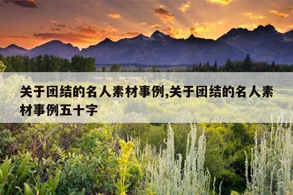 关于团结的名人素材事例,关于团结的名人素材事例五十字