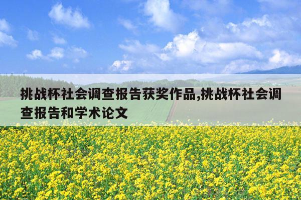 挑战杯社会调查报告获奖作品,挑战杯社会调查报告和学术论文