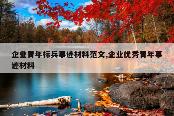 企业青年标兵事迹材料范文,企业优秀青年事迹材料