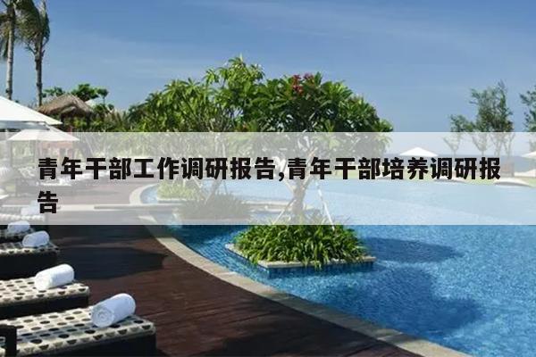 青年干部工作调研报告,青年干部培养调研报告