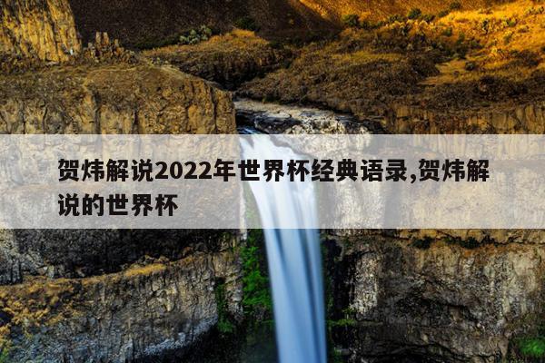 贺炜解说2022年世界杯经典语录,贺炜解说的世界杯