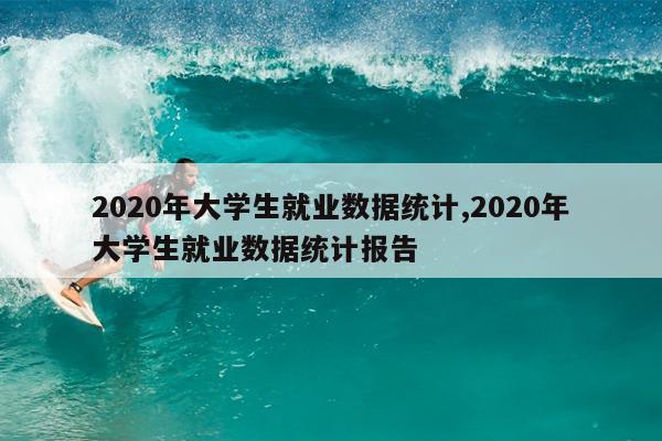 2020年大学生就业数据统计,2020年大学生就业数据统计报告