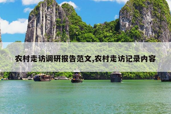 农村走访调研报告范文,农村走访记录内容
