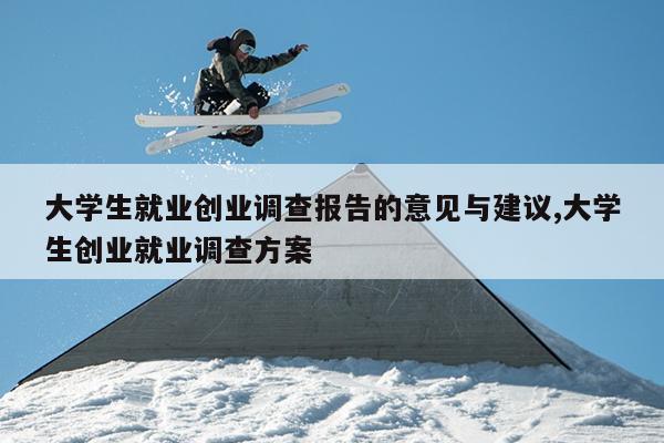 大学生就业创业调查报告的意见与建议,大学生创业就业调查方案