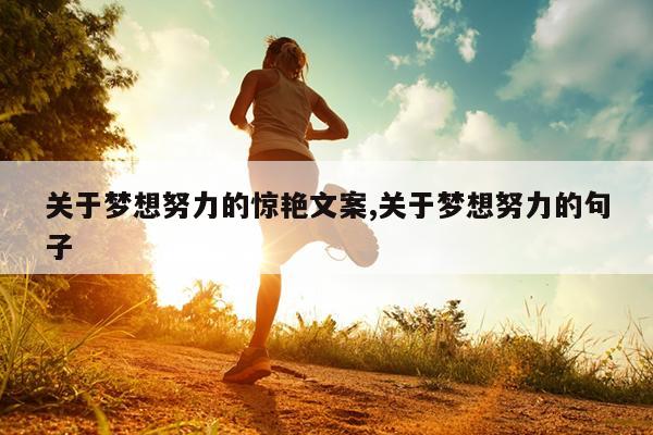 关于梦想努力的惊艳文案,关于梦想努力的句子