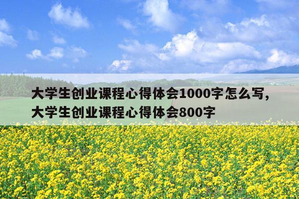 大学生创业课程心得体会1000字怎么写,大学生创业课程心得体会800字