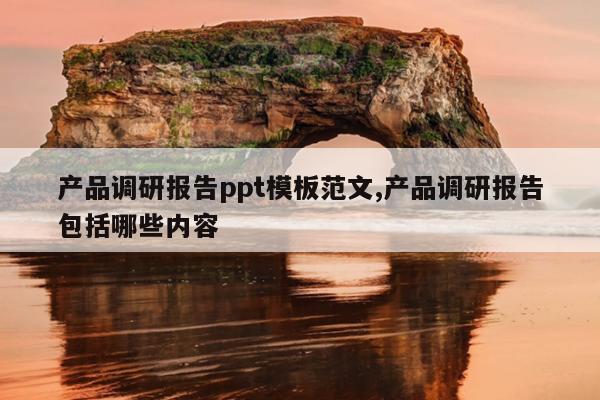 产品调研报告ppt模板范文,产品调研报告包括哪些内容