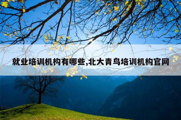 就业培训机构有哪些,北大青鸟培训机构官网