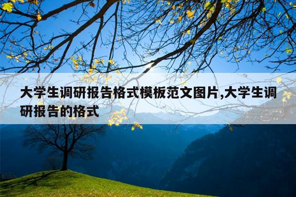 大学生调研报告格式模板范文图片,大学生调研报告的格式