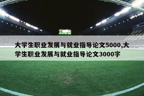 大学生职业发展与就业指导论文5000,大学生职业发展与就业指导论文3000字
