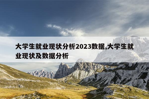 大学生就业现状分析2023数据,大学生就业现状及数据分析