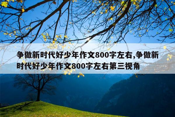 争做新时代好少年作文800字左右,争做新时代好少年作文800字左右第三视角