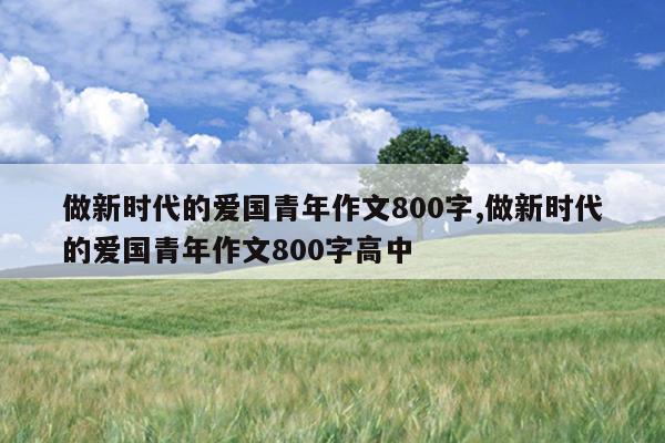 做新时代的爱国青年作文800字,做新时代的爱国青年作文800字高中