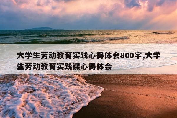 大学生劳动教育实践心得体会800字,大学生劳动教育实践课心得体会