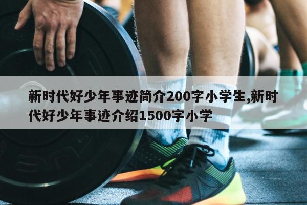 新时代好少年事迹简介200字小学生,新时代好少年事迹介绍1500字小学