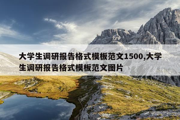 大学生调研报告格式模板范文1500,大学生调研报告格式模板范文图片