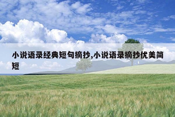 小说语录经典短句摘抄,小说语录摘抄优美简短