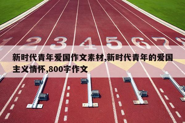 新时代青年爱国作文素材,新时代青年的爱国主义情怀,800字作文