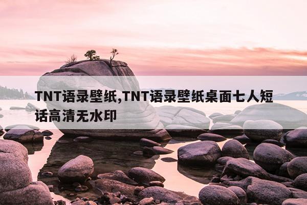 TNT语录壁纸,TNT语录壁纸桌面七人短话高清无水印