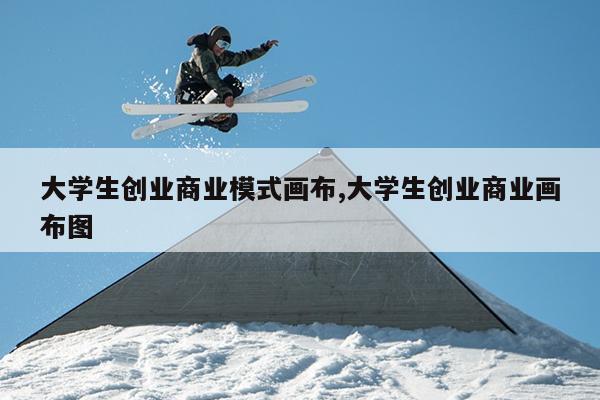 大学生创业商业模式画布,大学生创业商业画布图