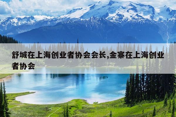 舒城在上海创业者协会会长,金寨在上海创业者协会