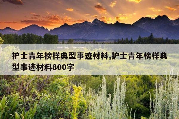 护士青年榜样典型事迹材料,护士青年榜样典型事迹材料800字