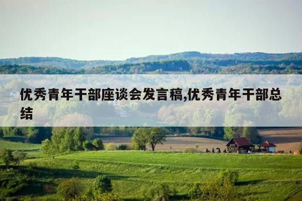 优秀青年干部座谈会发言稿,优秀青年干部总结