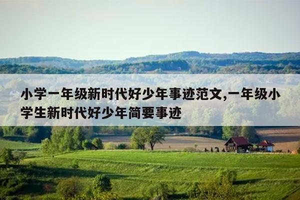 小学一年级新时代好少年事迹范文,一年级小学生新时代好少年简要事迹