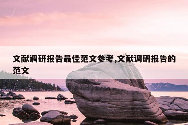 文献调研报告最佳范文参考,文献调研报告的范文
