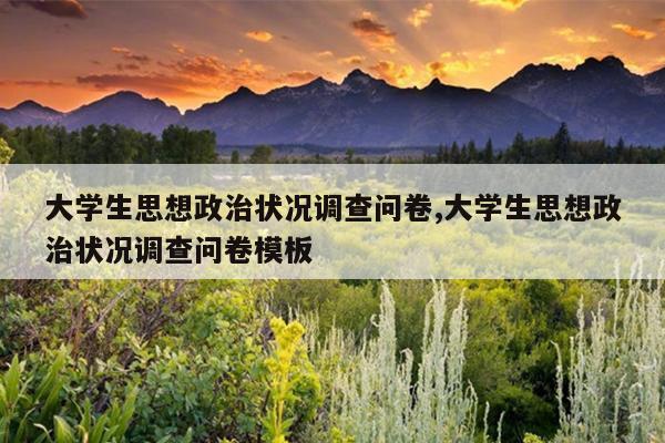 大学生思想政治状况调查问卷,大学生思想政治状况调查问卷模板