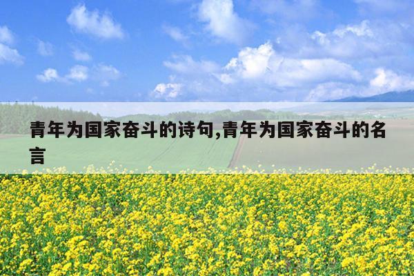 青年为国家奋斗的诗句,青年为国家奋斗的名言