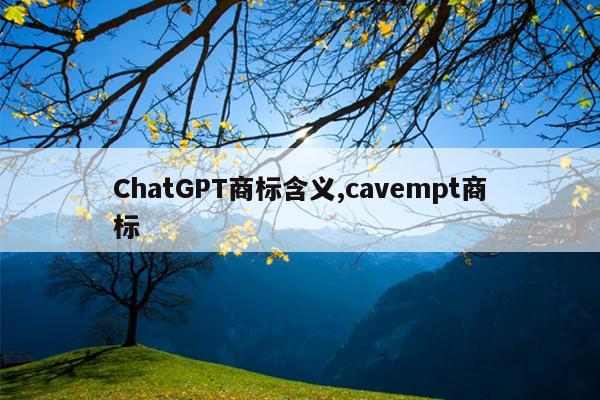 ChatGPT商标含义,cavempt商标