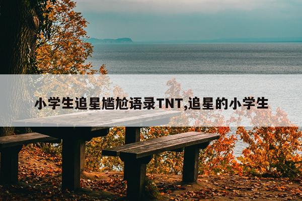 小学生追星尴尬语录TNT,追星的小学生