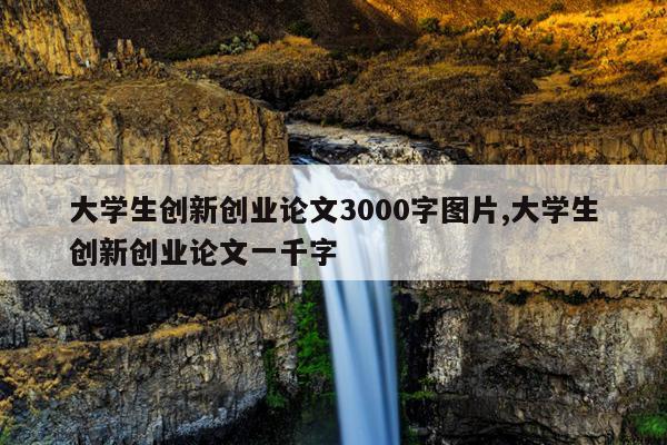 大学生创新创业论文3000字图片,大学生创新创业论文一千字
