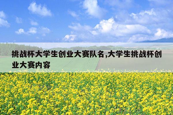 挑战杯大学生创业大赛队名,大学生挑战杯创业大赛内容